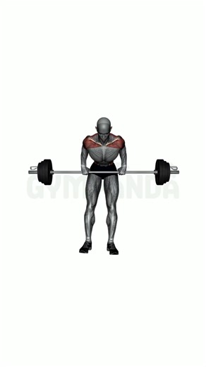 Barbell Shrug - Perfect Form Guide #shorts
