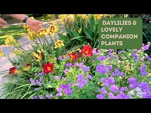 Follow Up: UT Gardens a Year Later—PLUS—Companion Plants for Daylilies