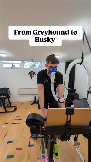 Total Endurance | Triathlon Coaching | Turning a Greyhound into a Husky! Cameron comes to us with a serious swimming background (52.40s 100m and 1:55 200m) You don’t hit those... | Instagram