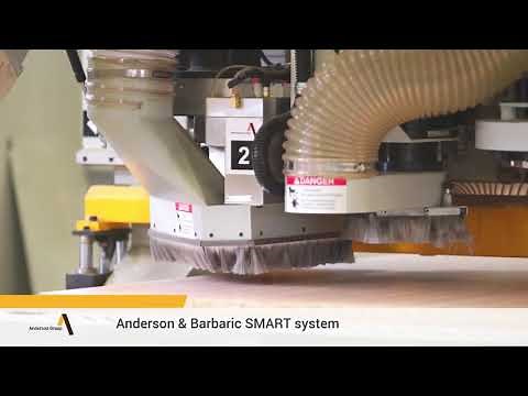 Three Anderson Fully Automated Nesting Lines Integrated with Barbaric CSF Material Storage System