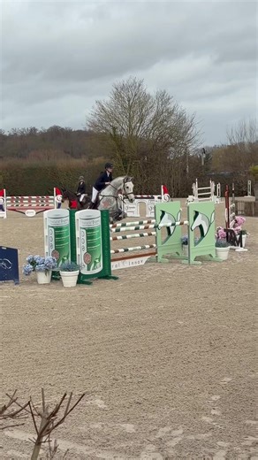 Exciting Show Jumping Competition Vlog