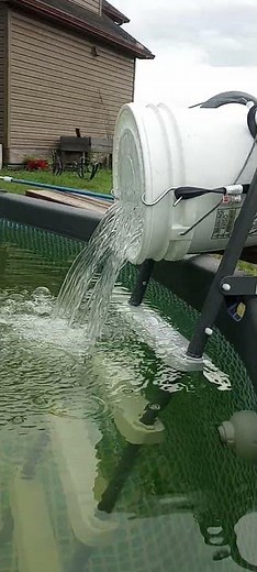 The Bucket Method to clear iron from my pool water. #abovegroundpool #redneck