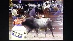 🏆 Ken Wilcox & #018 Cowtown 🏆 ☆ PRCA National Finals Rodeo 1985 ☆ #oldschoolrodeoforever #champion #cowboy #bullriding #NFR #prca #prcarodeo #rodeo #galeriaamigosdelrodeo #amigosdelrodeozac | Amigos Del Rodeo