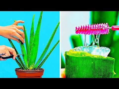 33 HOLY GRAIL ALOE VERA HACKS