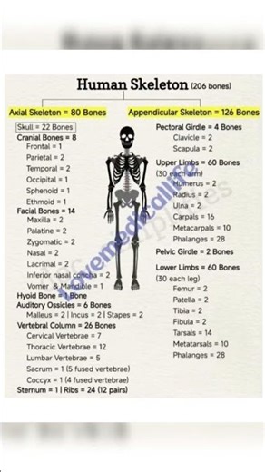 detail study of bone 🦴🦴#pharmacystudent