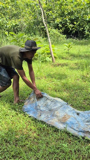 Used objects move on their own👀 #animals #shorts