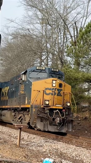 CSX intermodal train with hornshow and wave with Ryan the red railfan go check him out