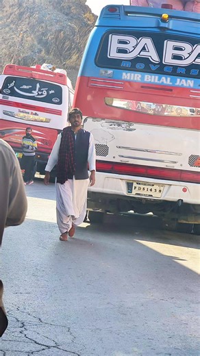 Beautiful Shapes in Nature: An Insightful Exploration