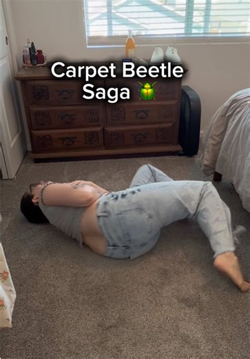 Carpet Beetle Extermination: Mom's Cleaning Battle