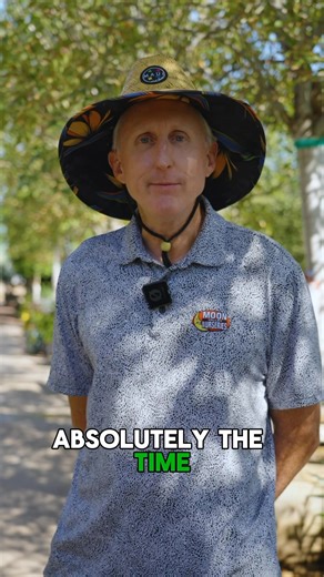 November marks one of the last opportunities in many areas to bring your dream landscape to life before winter hits. Let’s get those trees and plants in the ground so their roots can establish, giving your yard a head start to deliver all the benefits come springtime. | Moon Valley Nurseries