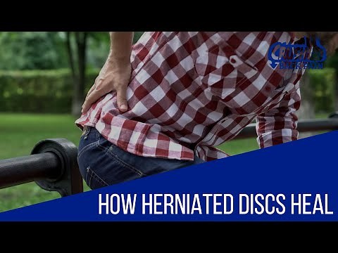 How Herniated Discs Heal