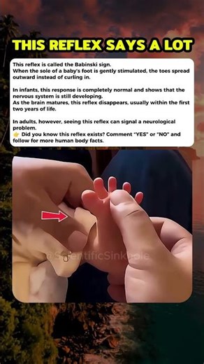 This Baby Reflex Has a Hidden Meaning #curiosity #curiosity