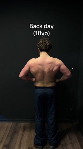 Effective Back Workout Routine for Gym Enthusiasts