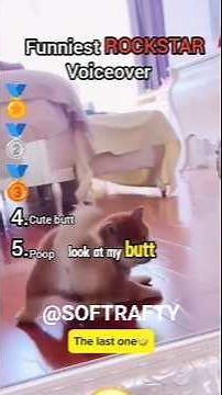 Top 5 Rockstar moment #rockstar #funny #tiktokanimals