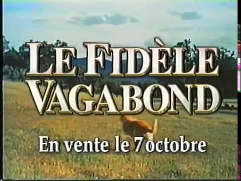 Opening to Un Candidat au Poil 1997 VHS (French Canadian Copy)