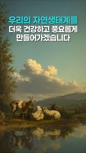 Mountain Goats Return to Songnisan, the Beginning of Ecosystem Recovery | Earth Masterpiece 🌍 Ric...