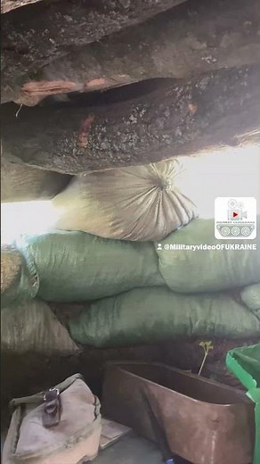 "UNEXPECTED GUEST" | Brave Squirrel Raids Frontline Cookies (Archive 2024) 🐿️🍪