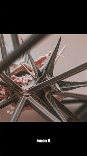 10 Classified Experiments the Public Was NEVER Meant to See