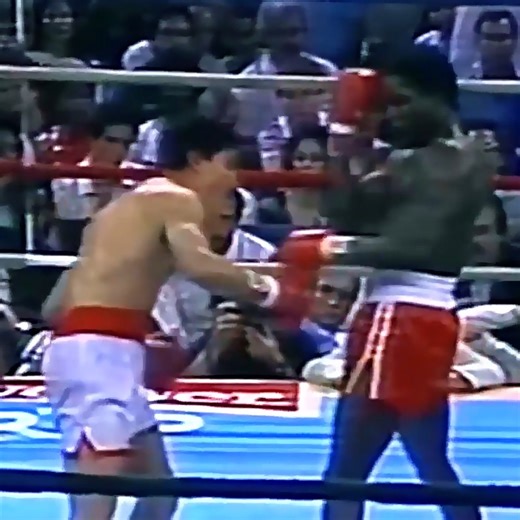 10K views · 118 reactions | Azumah Nelson vs Wilfredo Gomez Highlights | Anita Skorgan | Facebook