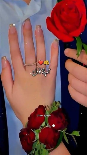 💞💞Behke behke kahin dil mein jazbaat hain jagi jagi 💞💞 Lovely couples with lovely song lyrics 💞💞💞💞
