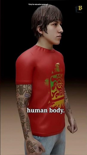 How a Bullet Actually Kills the Human Body"#usa #facts #3d 🤔