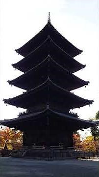 紅葉の京都、今日の東寺（2025/11/23）#京都 #そうだ京都行こう #kyoto
