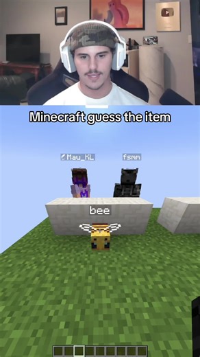 Minecraft guess the item #minecraft #minecraftmemes #minecrafter | minecraft