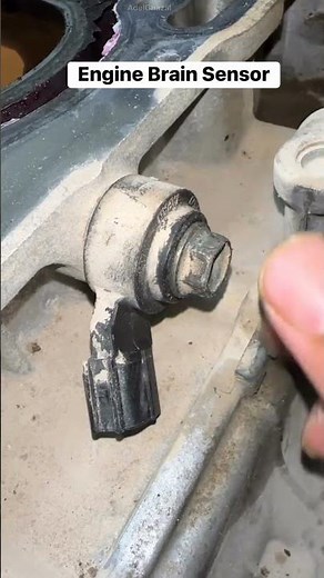 How To Remove Engine Knock ✊ Sensor #auto #automobile #shortvideo #mechanic
