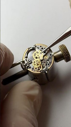 🤏 This entire world fits inside a watch case. #watch #rolex #swissmade #watchrepair