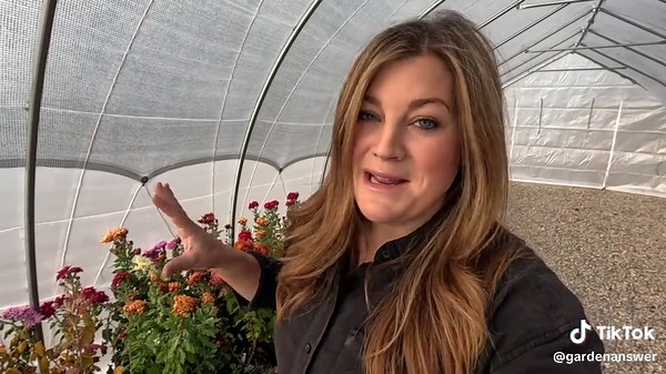 Tour of the Heirloom Mum Blooms & Making a Fall Cut Flower Arrangement! 🌸🍂💐