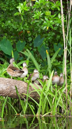 Life on the water 🛥️⚓️ for all things boating check out @Discover Boating #DiscoverBoating #Boating #SeeYouOutHere #BoatingLifestyle