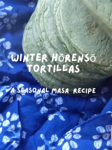 Winter hōrensō tortillas 🌱 This masa infusion was inspired by Japanese winter spinach (chijimi hōrensō). What would YOU infuse into masa next? Herbs? Veggies? Seeds? Flowers? Comment below 👇 Save this for later cook along with the cookbook 📖 #japan #mexicanfood #cookbook #fyp #tortilla