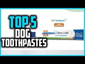 ✅Top 5 Best Dog Toothpastes in 2024