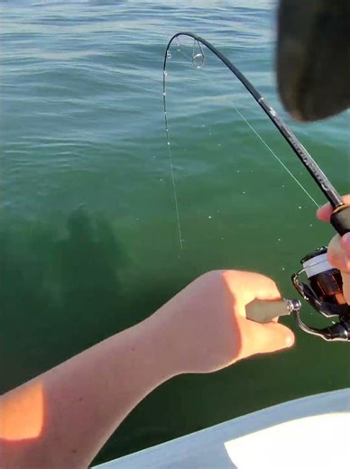 Sea bass on the jig!!#slowpitchjigging #seabass #seabassfishing