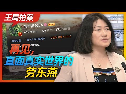 王局拍案｜再见，直面真实世界的劳东燕20220921