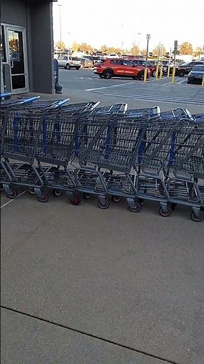 WALMART 16 Cart By Hand Snake
