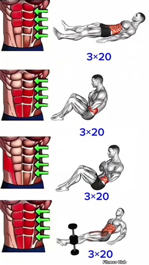 full abs home workout plan 💪#workout #shoulder #chest #sixpack #back #legs #triceps