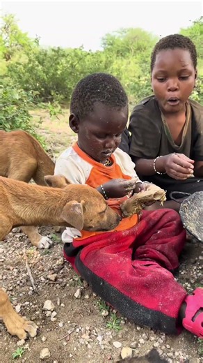 The daily life and diet of the Hazarbi tribe #africa