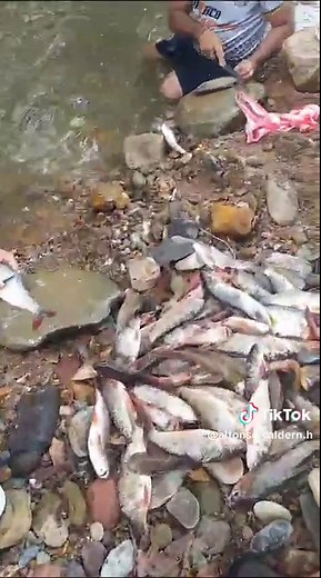 Alfonso Calderón Herrera on TikTok