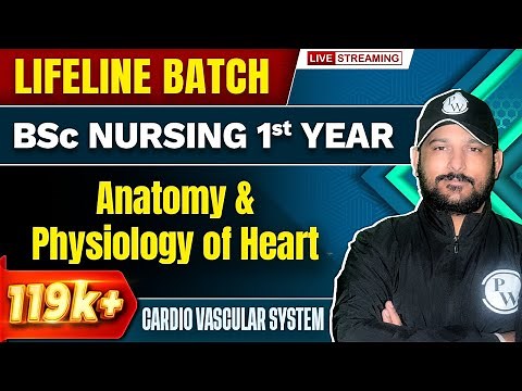 Anatomy & Physiology Of Heart | Cardio Vascular System | BSc Nursing 1st Year | Lifeline Batch
