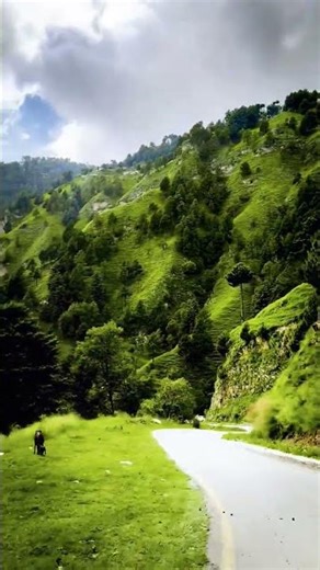90s hits with roadtrip #travel #nature #song #mountains #ytshorts #alltime#hitsong