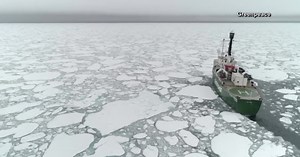 Ice in Arctic Ocean melted to second lowest level on record, scientists say