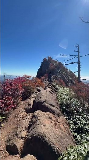 西日本最高峰 石鎚山天狗岳 2025年10月10日紅葉状況 #四国登山 #日本百名山 #石鎚山