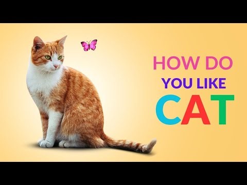 Funny Cats 2030| Watch Hilarious Cats Look Left and Right in the Funniest Ways!