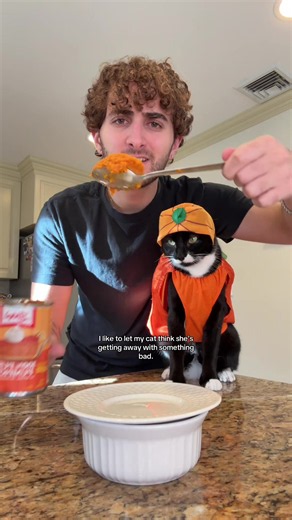 She definitely loved this one #viral #cat #kitten #catlover #fyp | kittens