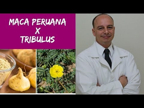 Tribulus Terrestrris ou Maca Peruana? || Dr. Moacir Rosa