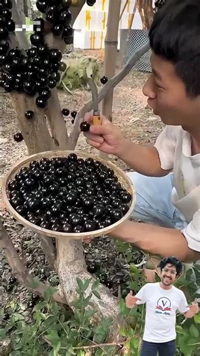 unique wine making. #experiments #science #scienceexperiment #physics #chemistry #shorts