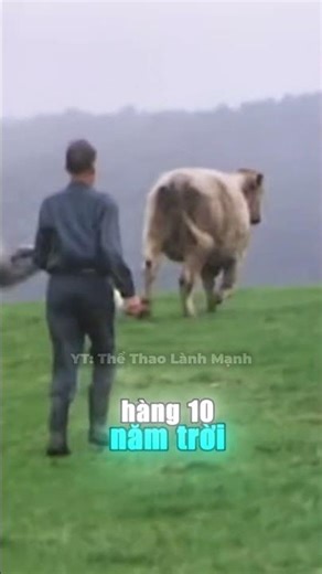 Cụ ông 61 tuổi đi thi chạy marathon
