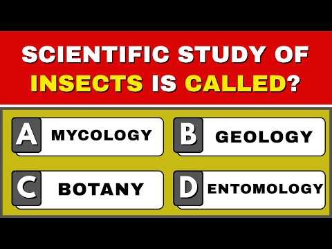 Ultimate General Knowledge Quiz | 25 Trivia Questions to Test Your Knowledge🧠#generalknowledge