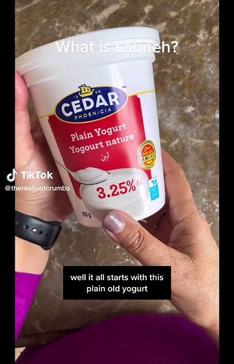 If you ever wondered what the differences between yogurt, yogurt, cheese, labneh or Greek yogurt, just listen to these tips, and you’ll know right away! #justcrumbs #yogurt #yogurtcheese #labneh #tipskitchen #homemade #kitchenhack #unprocessyourfood #easytipskitchen #nowastefood